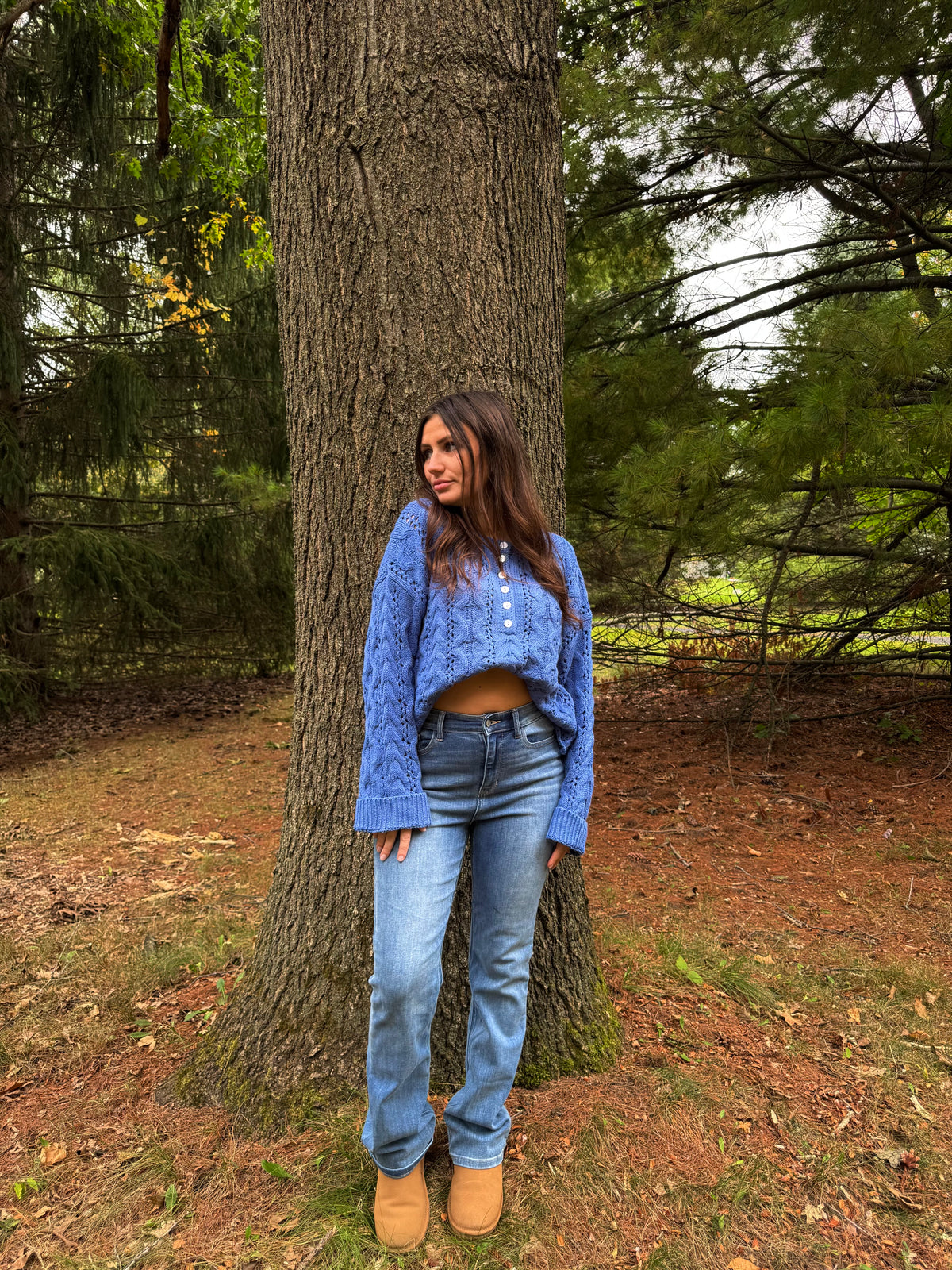 Blue Ridge Cable Knit Sweater
