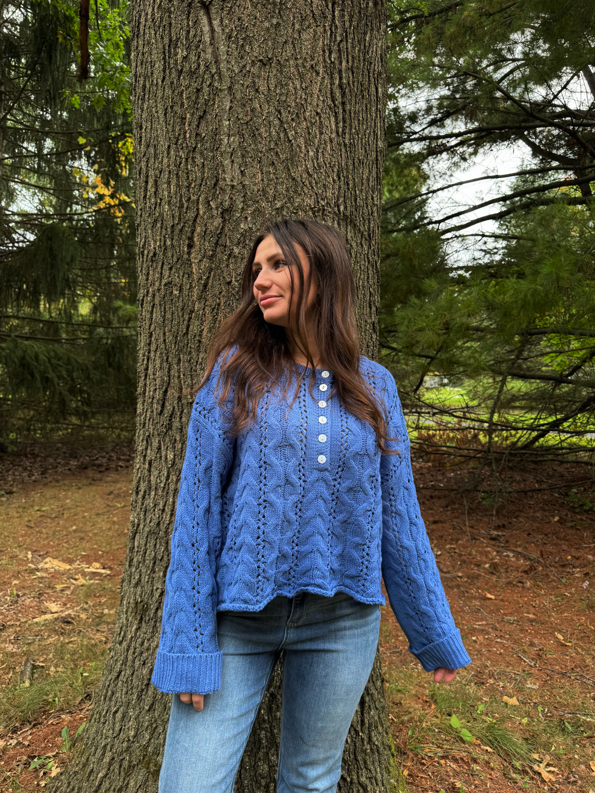 Blue Ridge Cable Knit Sweater
