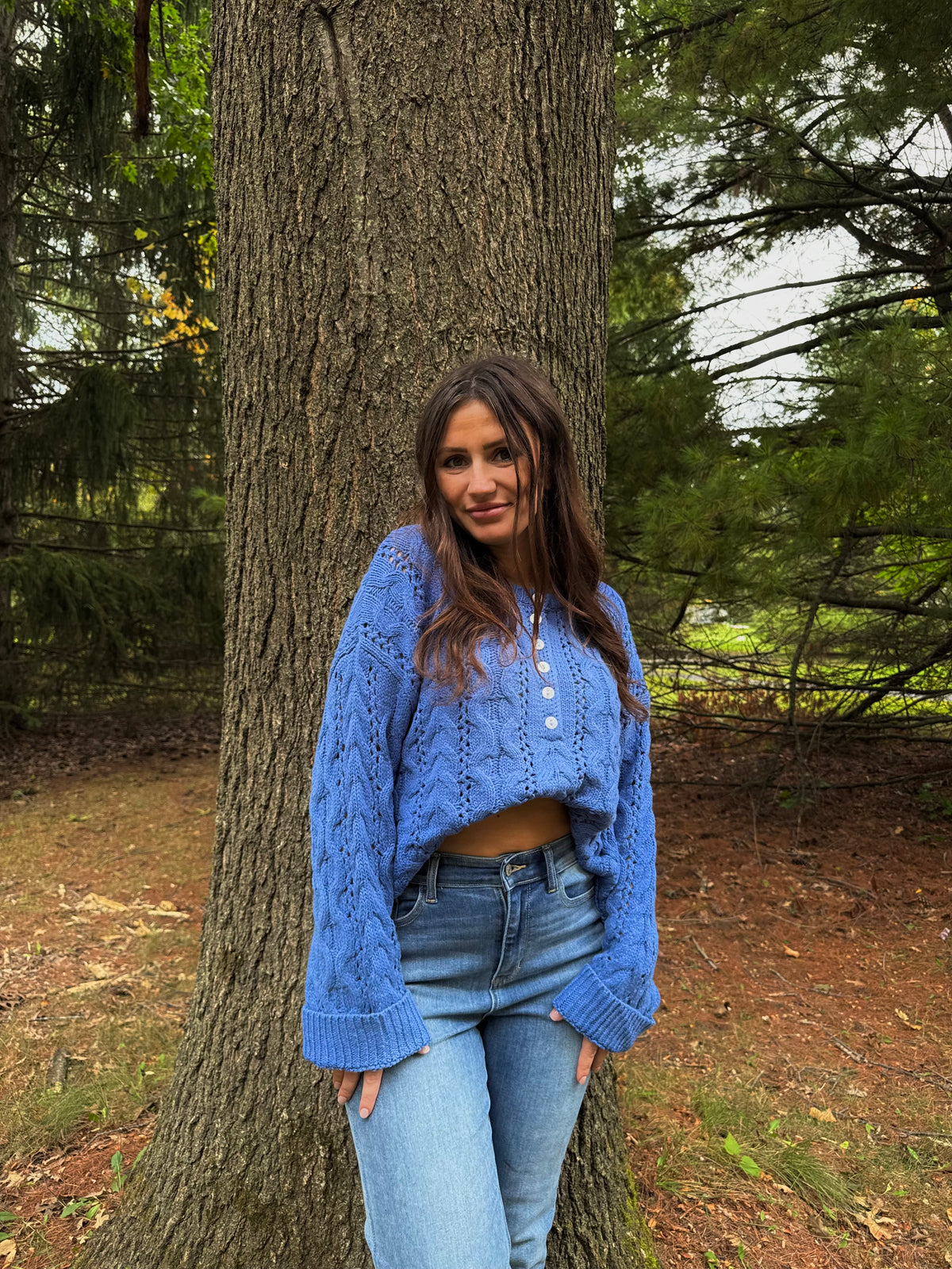 Blue Ridge Cable Knit Sweater